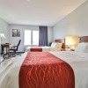 Отель Comfort Inn and Suites St Jerome, фото 4