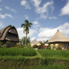 Отель Bhuana Shanti Ubud, фото 22
