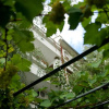 Отель Guest House Barbov, фото 8