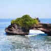 Отель Pondok Anggrek Putih, фото 16