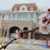 Отель Shuangcheng Hotel, фото 4