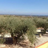 Отель Rustico degli Ulivi, фото 13