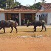 Отель Casa Marajó, фото 37