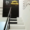 Отель Music Paradise Homestay, фото 8