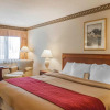 Отель Mississauga Inn and Suites, фото 7