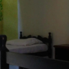 Отель Jambudvipa Hostel, фото 7