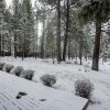 Отель Pet-friendly 6 Otter Home Features Bikes to Explore Sunriver Village by Redawning, фото 1