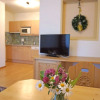 Отель Apartment Diana Pettneu am Arlberg 30888, фото 6