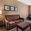 Отель Comfort Inn & Suites, фото 5