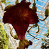 Отель Sesoko Terrace 2, фото 23