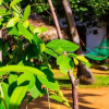 Отель Sigiriya Lahiru Homestay, фото 12