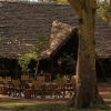 Отель Migunga Tented Camp, фото 39