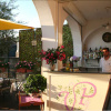 Отель Villa Pane Resort, фото 16