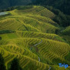 Отель Longji Terraces Ping'an Village Zhuyuan Homestay, фото 1