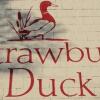 Отель The Strawbury Duck Inn, фото 1