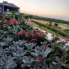 Отель Zeusplace Olympousriviera Villa1, фото 27