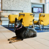 Отель Residence Inn Berkeley, фото 22