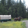 Отель YD Guest Ranch, фото 24