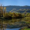 Отель Bed and Breakfast Family Djukic, фото 4