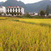 Отель Wuyuan Kangyue Hotel, фото 4