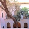Отель Dar Zitouna, фото 1