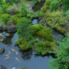 Отель Suzaka Onsen Kojoso, фото 6