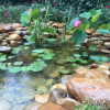 Отель Miyue Zhilian Hotel, фото 3
