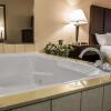 Отель Comfort Inn & Suites, фото 8