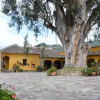 Отель DAcosta Hotel Hacienda del Salitre, фото 9