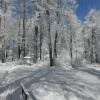 Отель Kilátó Vendégház és Étterem, фото 10