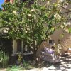 Отель Apartment With 2 Bedrooms in Carpentras, With Enclosed Garden and Wifi, фото 10