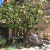 Отель Apartment With 2 Bedrooms in Carpentras, With Enclosed Garden and Wifi, фото 10