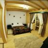 Отель Pensiunea Iza, фото 4