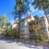 Отель Forest View Townhouse by Lake Tahoe Accommodations, фото 1