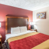 Отель Econo Lodge, фото 5