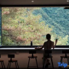 Отель Zhi Yue·Bamboo Grove | Anji Private Hot Spring Designer Boutique Accommodation, фото 6