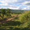 Отель Suyox Tarapoto, фото 24