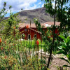 Отель Kinsapacha Eco Lodge Farm, фото 18