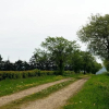 Отель Eifeler Hof, фото 9