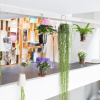 Отель Loft Marais District Center, фото 5