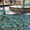 Отель Royal Hot Spring Theme Inn, фото 17