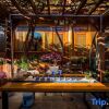 Отель Lijiang Peony Garden·Designer Panoramic View Beautiful Accommodation, фото 3