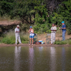 Отель Phelwana Game Lodge, фото 26