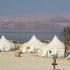 Отель Ein Gedi Kibbutz Hotel, фото 28