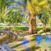 Отель The Villas at Emerald Desert RV Resort в Палм-Дезете