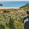Отель Langland Cove Guesthouse, фото 24