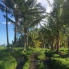 Отель Bisma Cottages Ubud, фото 20