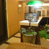 Отель Formosa Boulevard Station Garden Hotel, фото 27