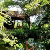 Отель Cashew Cottage, фото 4