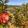 Отель Coombs View Reserve, фото 1
